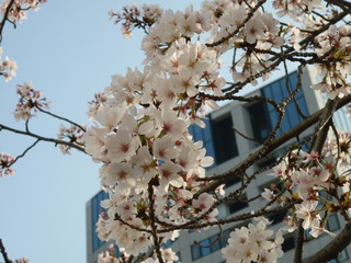 20180401.JPG